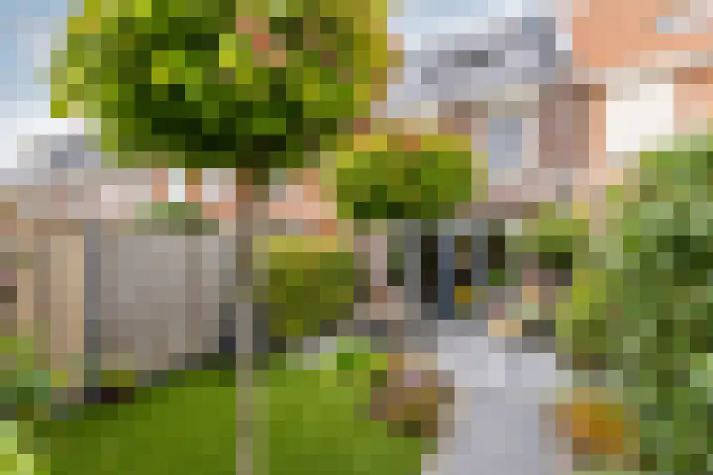 Landvoogdes 121 Brielle thumbnail 36