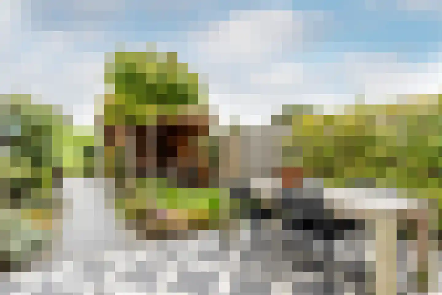 Landvoogdes 121 Brielle thumbnail 37