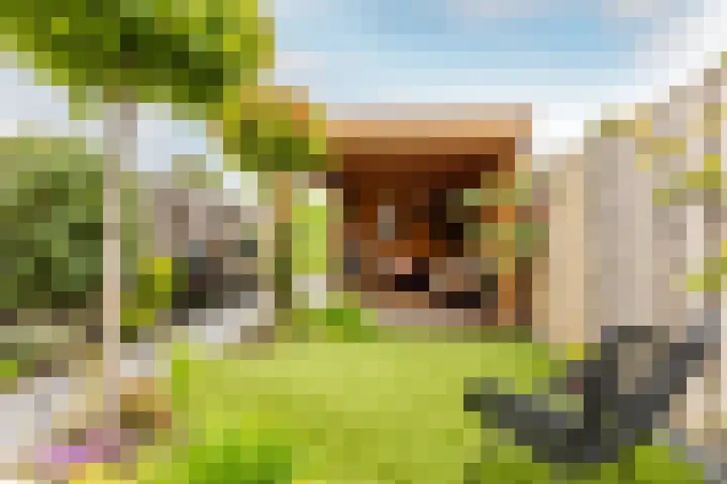Landvoogdes 121 Brielle thumbnail 38