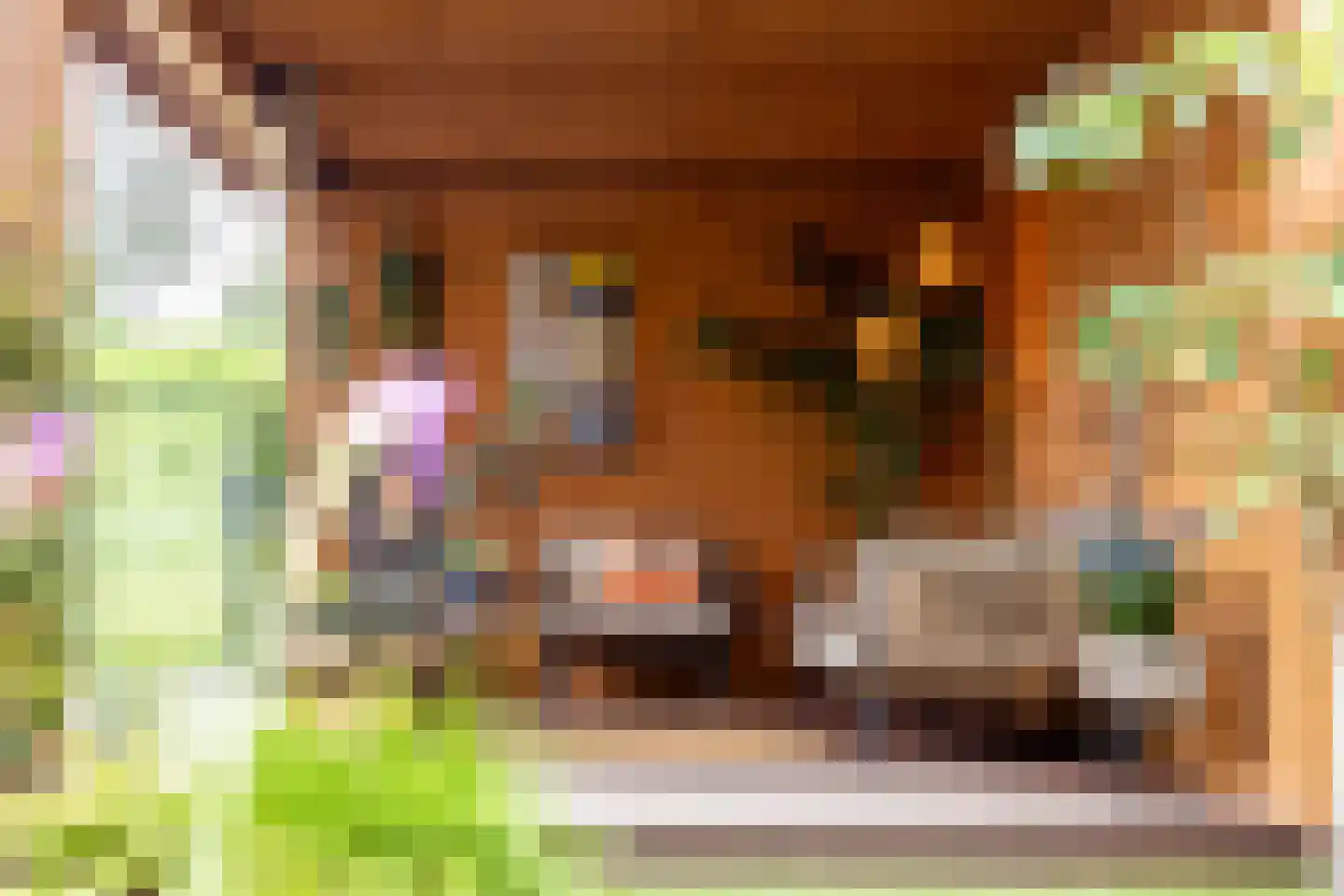 Landvoogdes 121 Brielle thumbnail 39
