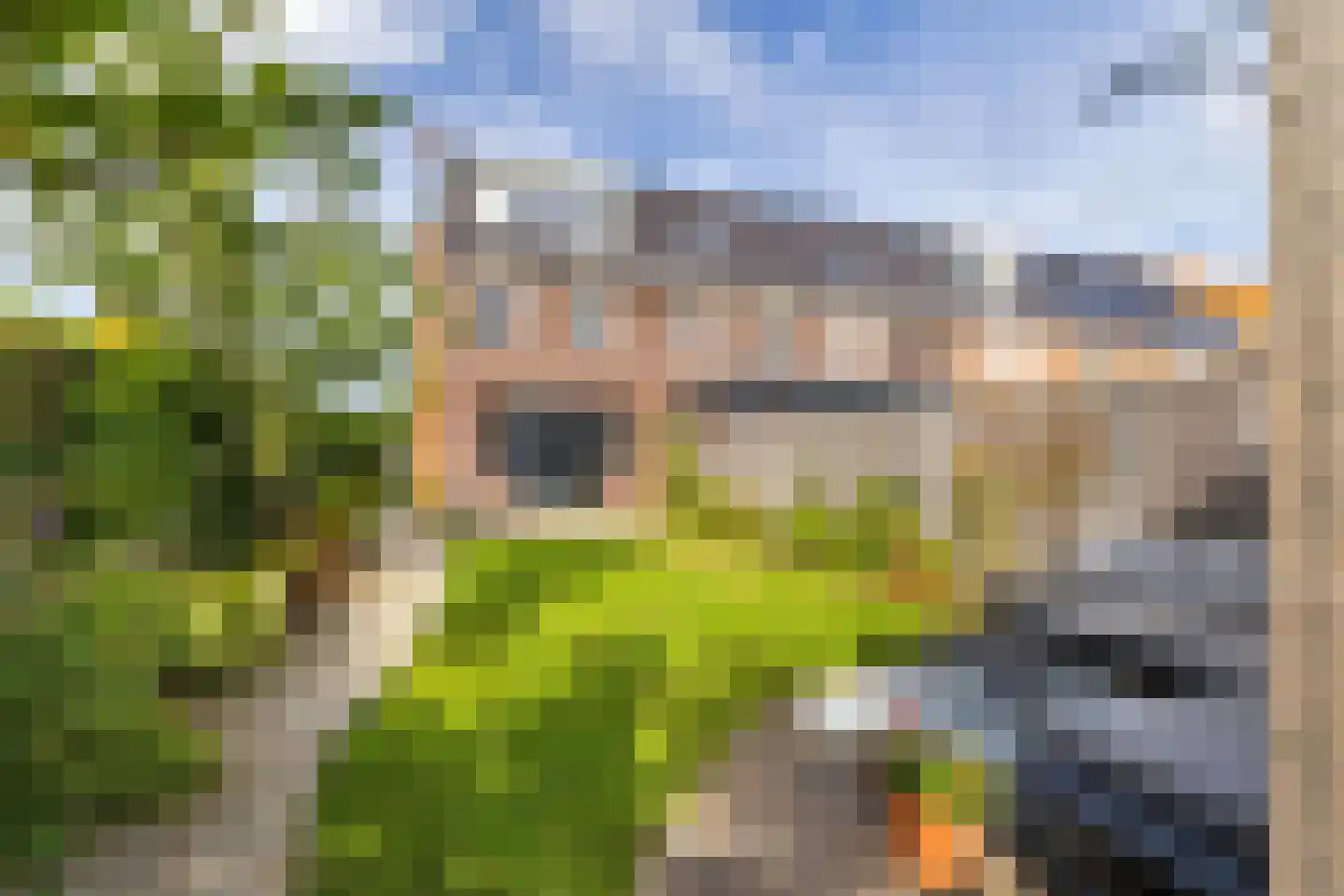 Landvoogdes 126 Brielle thumbnail 5