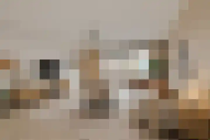Landvoogdes 31 Brielle thumbnail 11