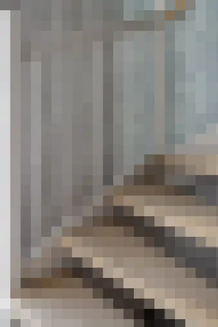 Landvoogdes 31 Brielle thumbnail 18