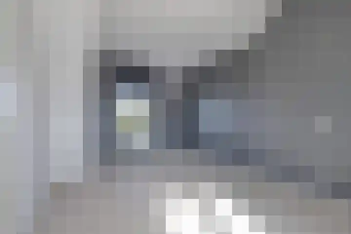 Landvoogdes 31 Brielle thumbnail 25