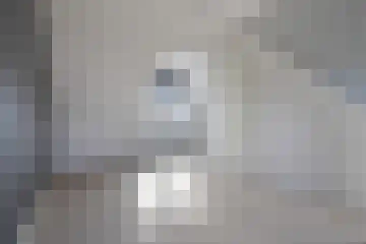 Landvoogdes 31 Brielle thumbnail 26