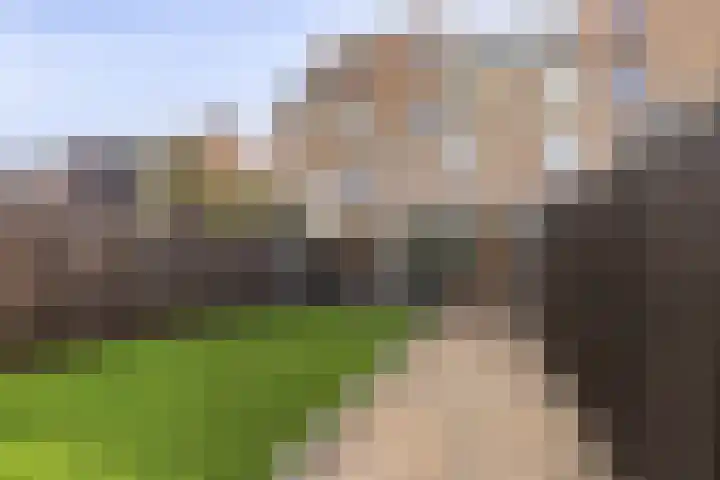 Landvoogdes 31 Brielle thumbnail 27