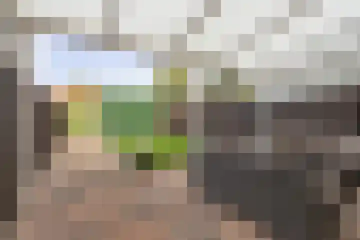 Landvoogdes 31 Brielle thumbnail 29