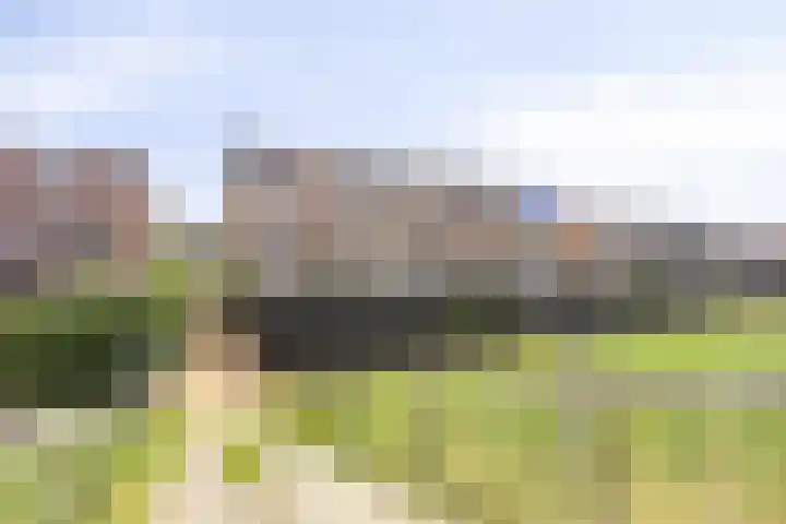 Landvoogdes 31 Brielle thumbnail 30