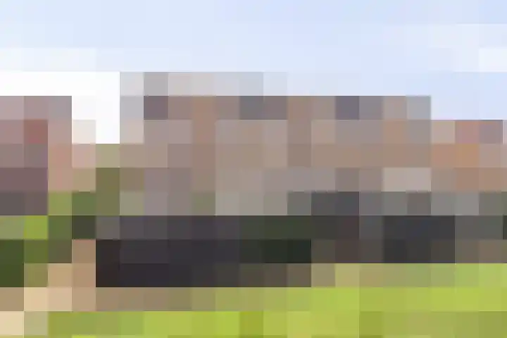 Landvoogdes 31 Brielle thumbnail 31