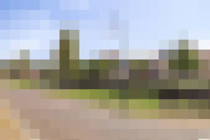 Landvoogdes 31 Brielle thumbnail 32