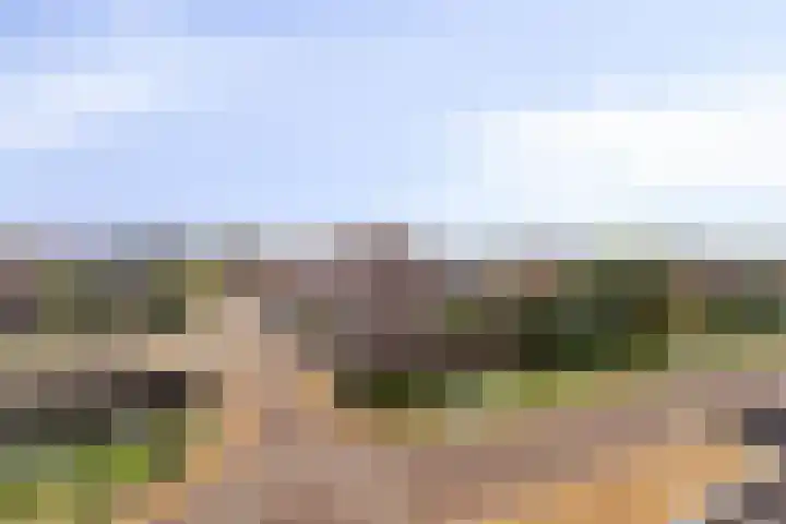 Landvoogdes 31 Brielle thumbnail 33