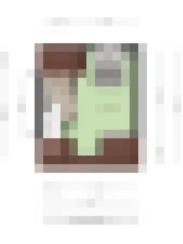 Landvoogdes 31 Brielle thumbnail 37