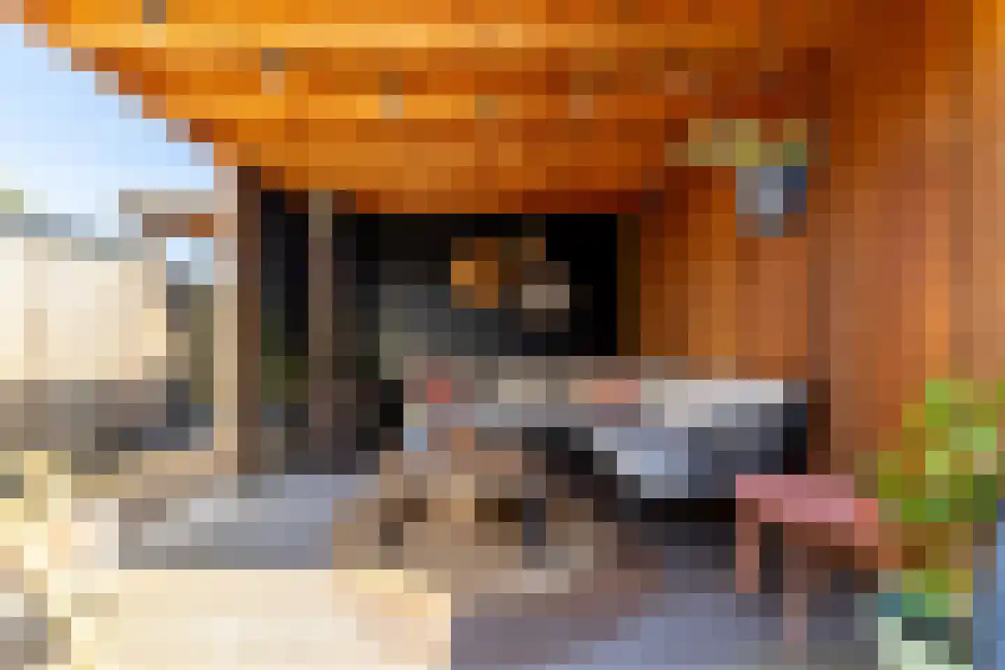 Landvoogdes 41 Brielle thumbnail 37
