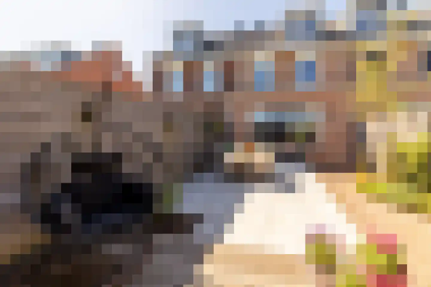 Landvoogdes 41 Brielle thumbnail 38