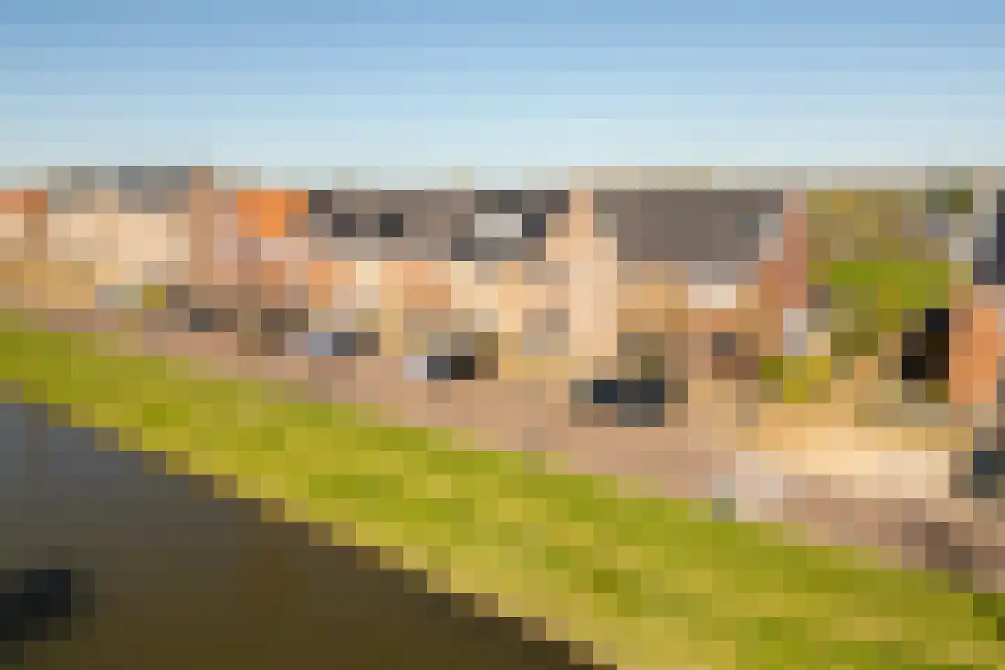 Landvoogdes 41 Brielle thumbnail 41