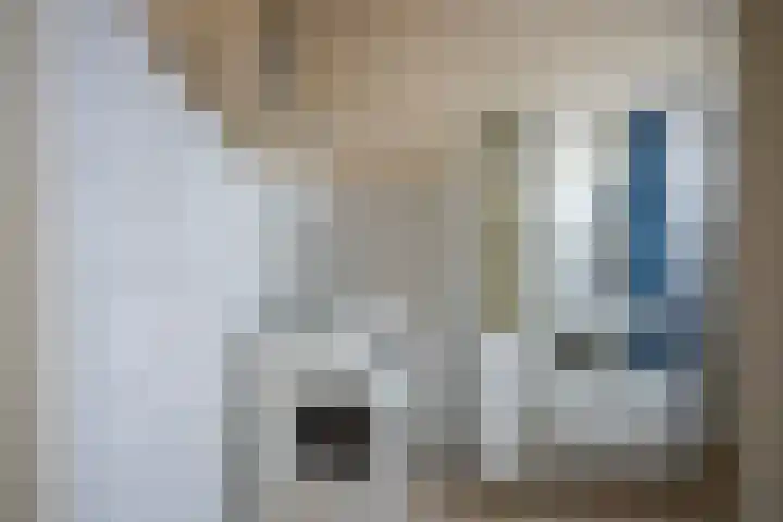 Landvoogdstraat 106 Heerlen thumbnail 12