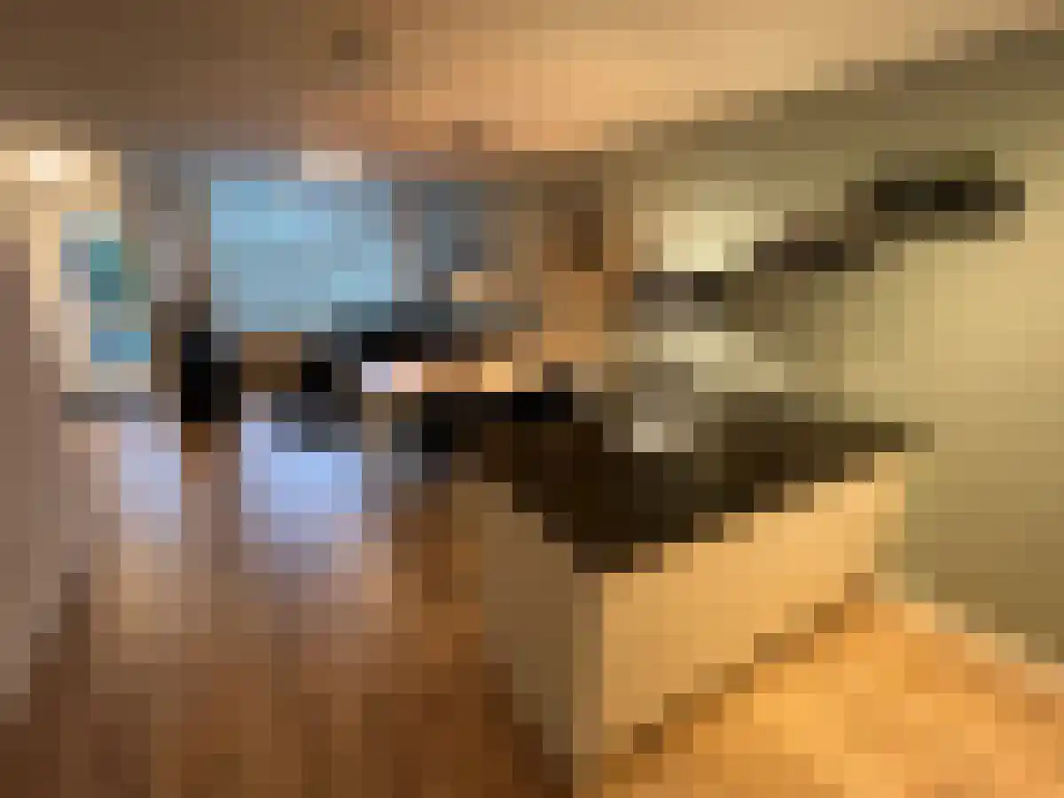 Landvoogdstraat 55 Heerlen thumbnail 4