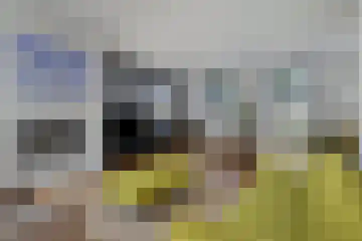 Landvoort 21 Helmond thumbnail 12