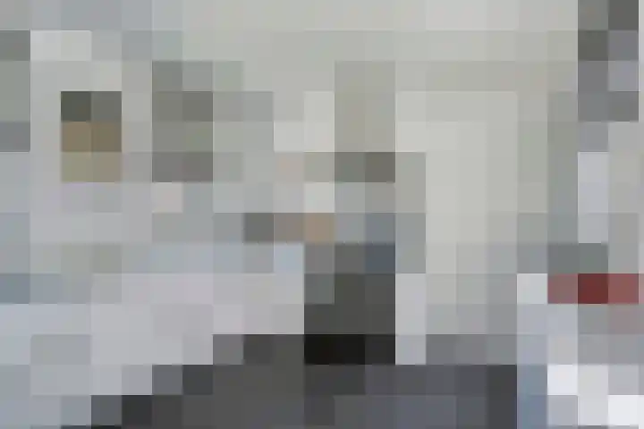 Landvoort 21 Helmond thumbnail 22
