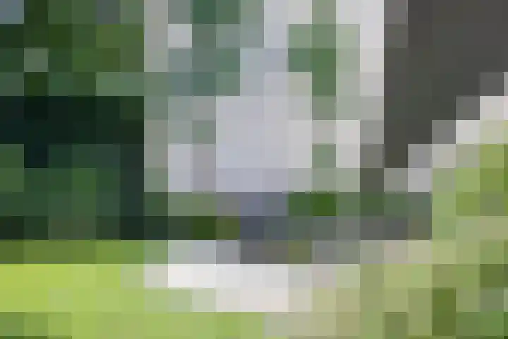 Landvoort 21 Helmond thumbnail 36