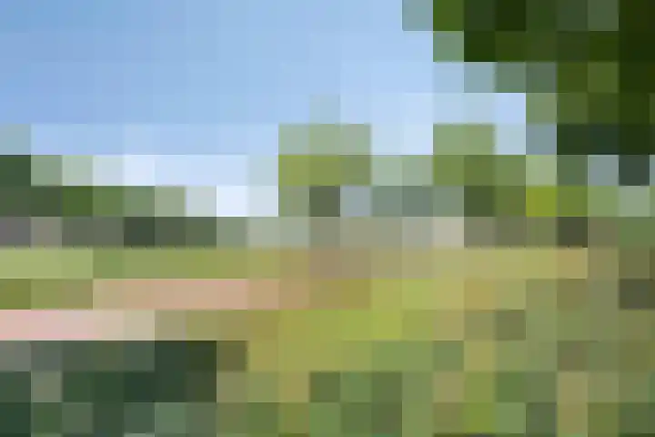 Landvoort 21 Helmond thumbnail 59