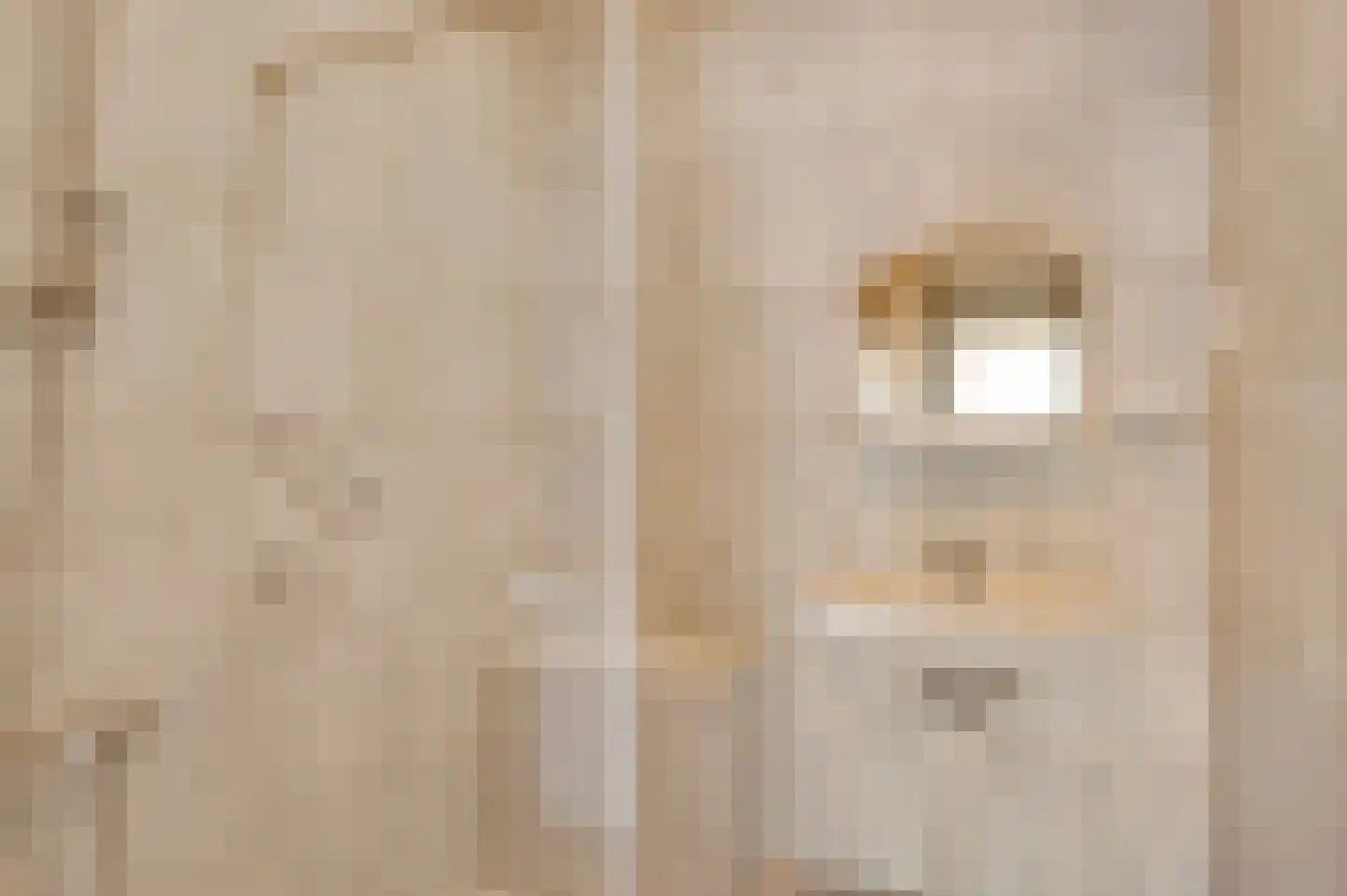 Landweerstraat 1 Buggenum thumbnail 23