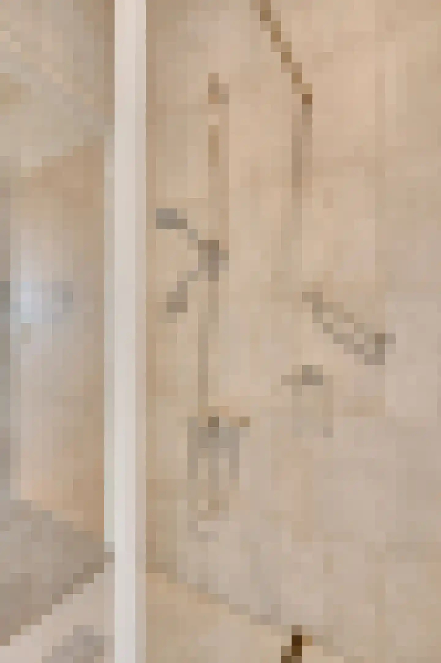 Landweerstraat 1 Buggenum thumbnail 24
