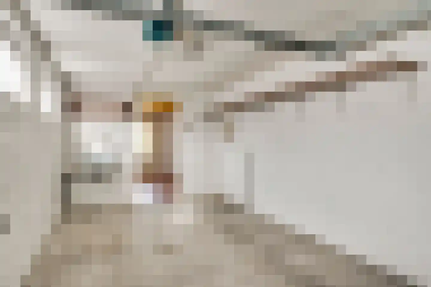Landweerstraat 1 Buggenum thumbnail 27