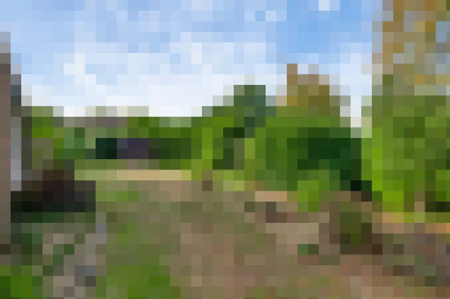 Landweerstraat 1 Buggenum thumbnail 28