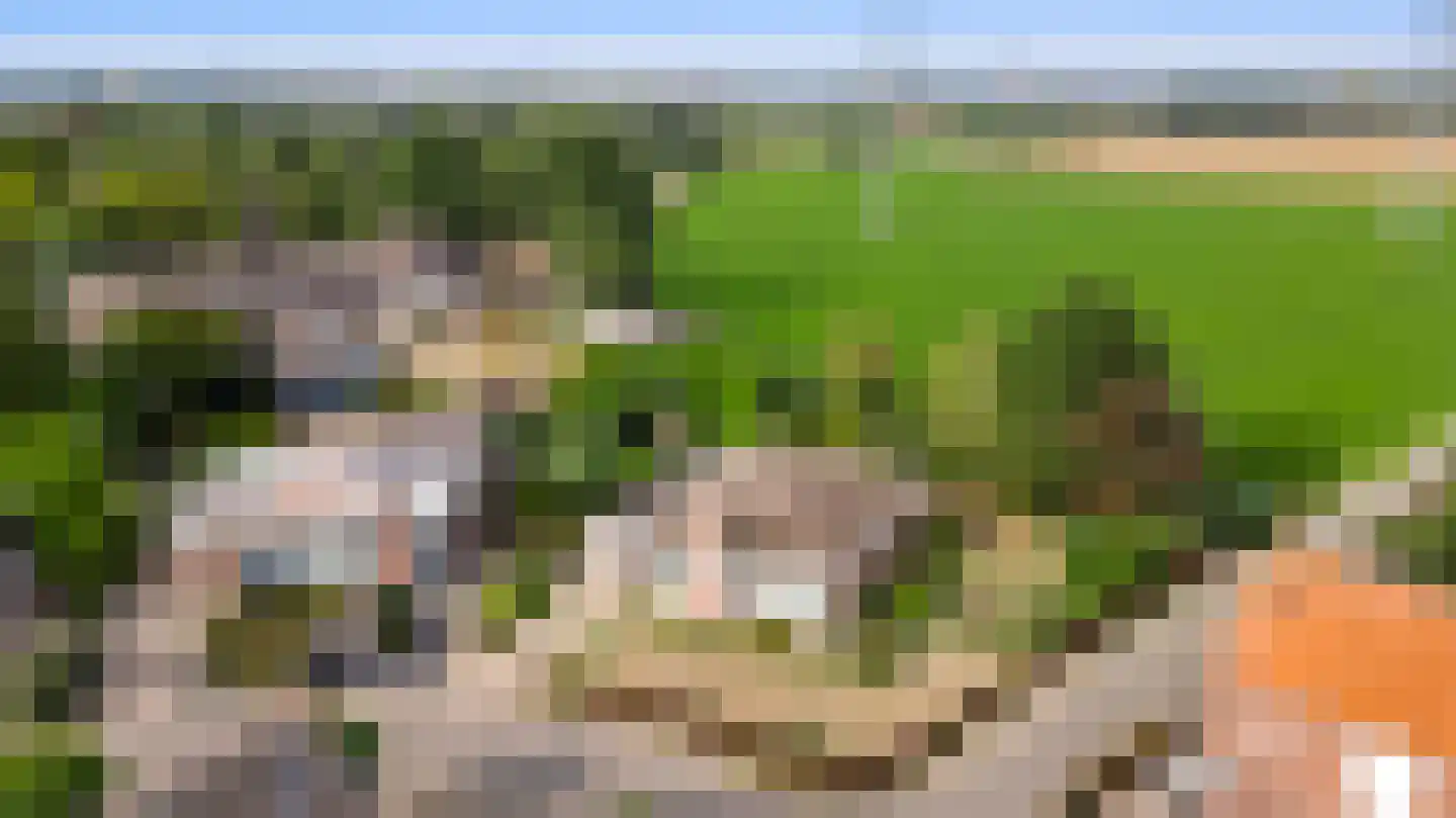 Landweerstraat 1 Buggenum thumbnail 33