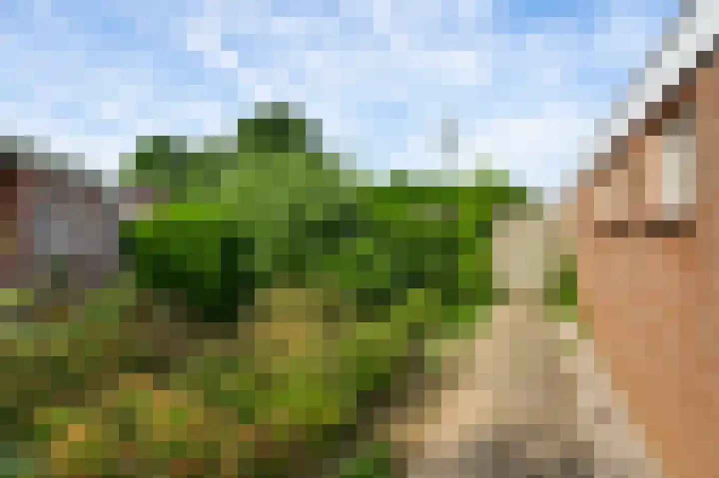 Landweerstraat 1 Buggenum thumbnail 41