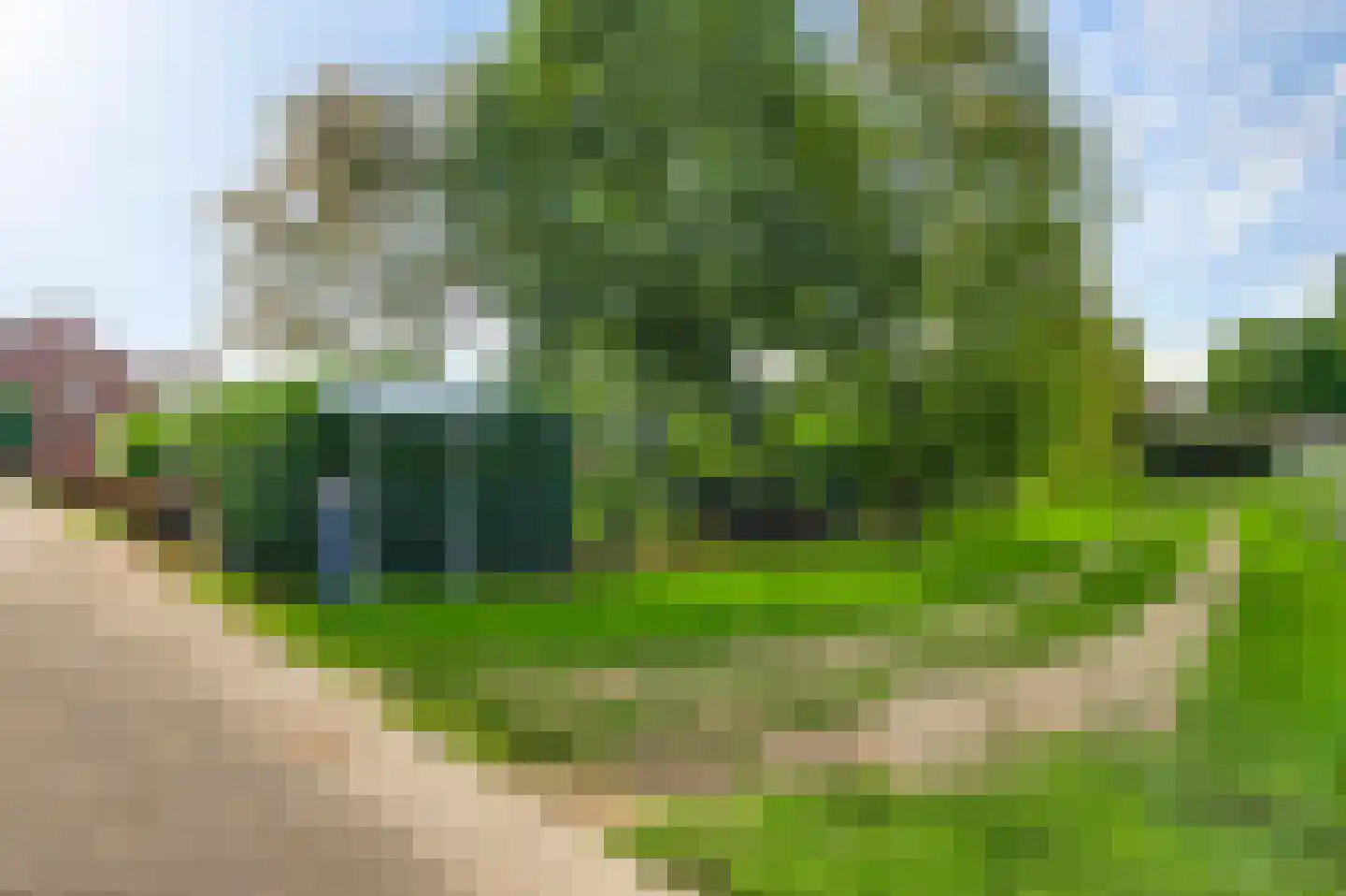 Landweerstraat 1 Buggenum thumbnail 45