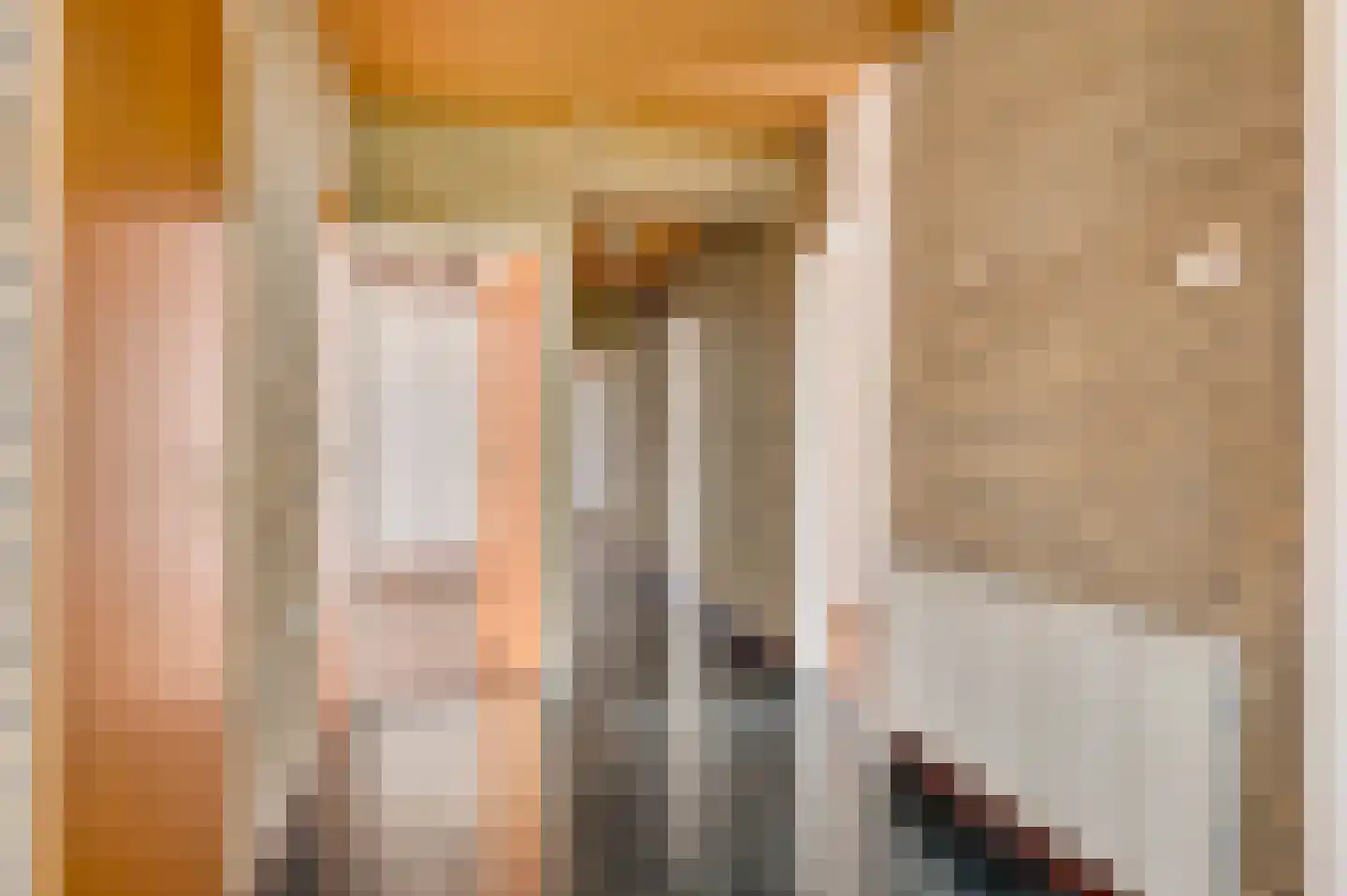 Landweerstraat 1 Buggenum thumbnail 7