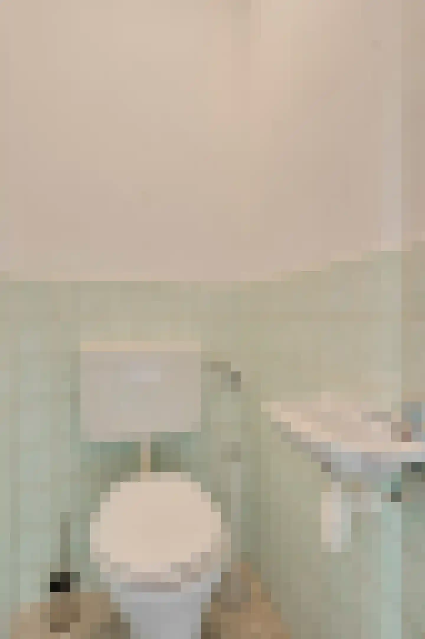 Landweerstraat 1 Buggenum thumbnail 9