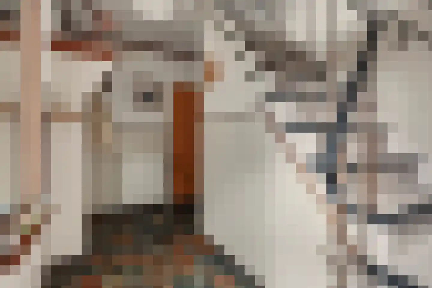 Landweerstraat 1 Denekamp thumbnail 13