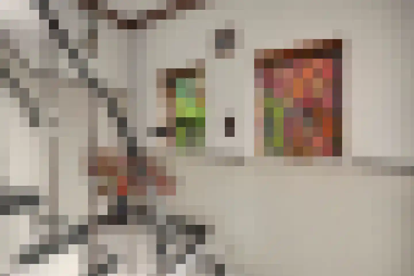Landweerstraat 1 Denekamp thumbnail 14