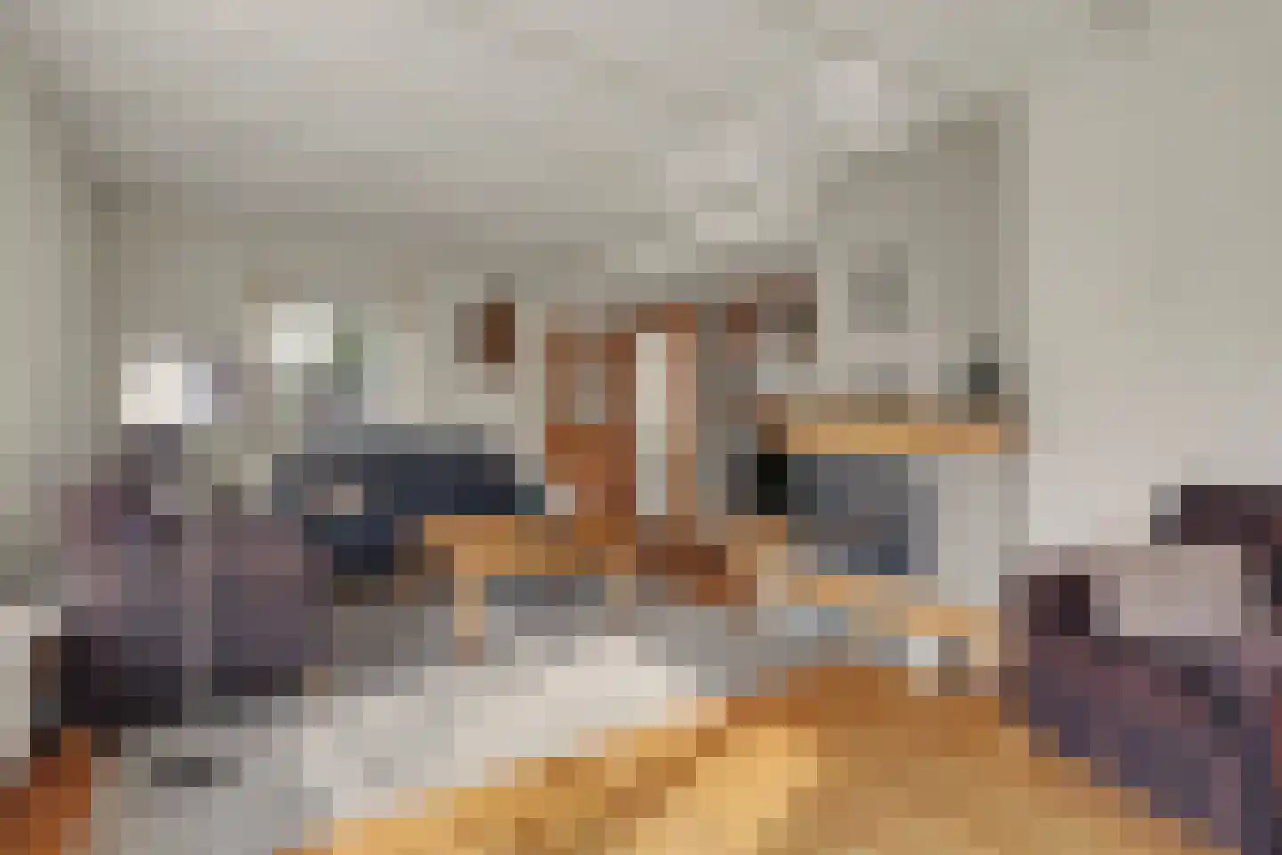 Landweerstraat 1 Denekamp thumbnail 15