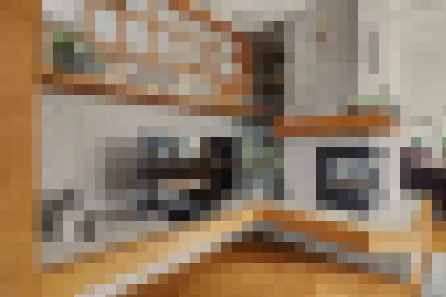 Landweerstraat 1 Denekamp thumbnail 17