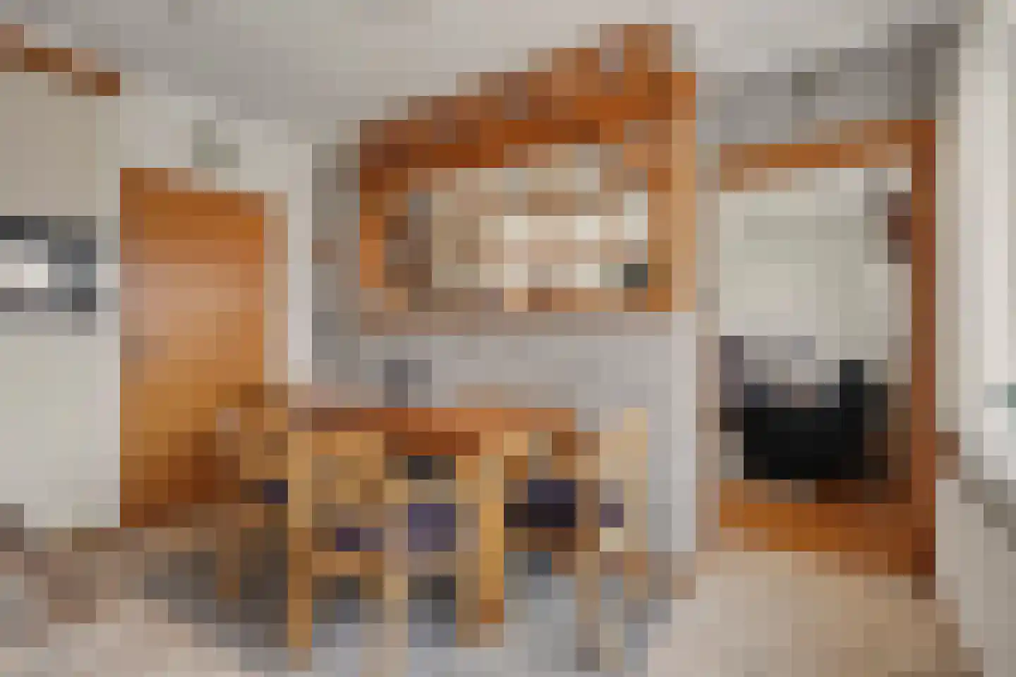 Landweerstraat 1 Denekamp thumbnail 18