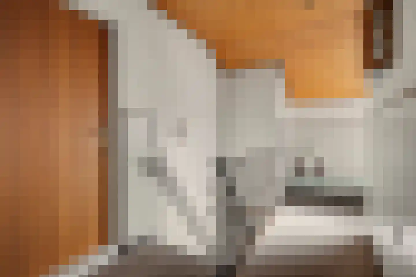 Landweerstraat 1 Denekamp thumbnail 25
