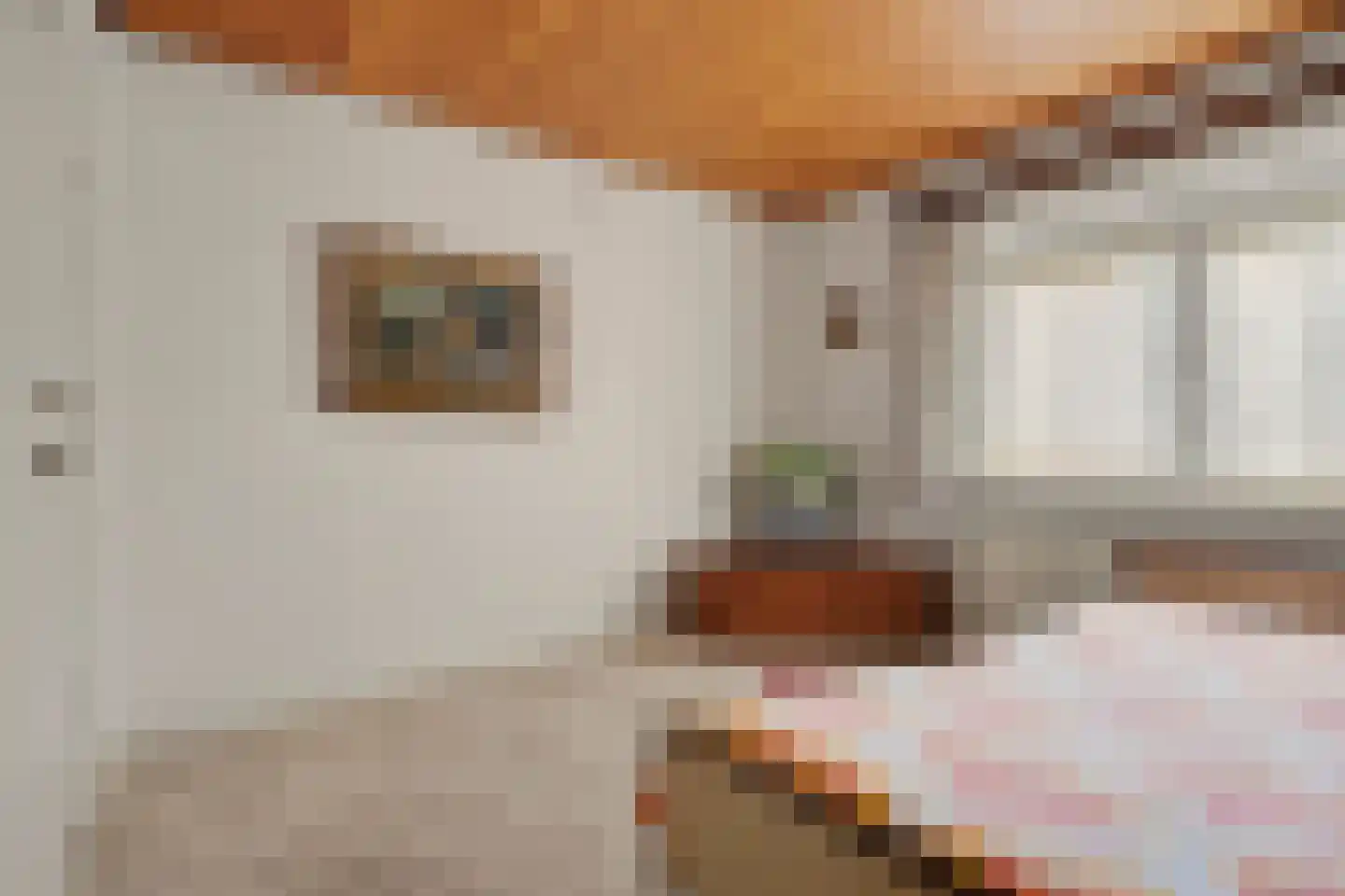 Landweerstraat 1 Denekamp thumbnail 27