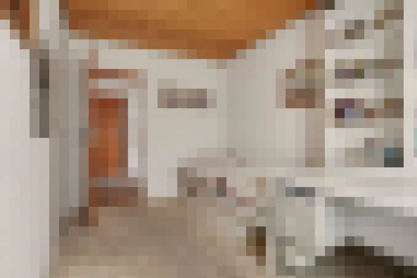 Landweerstraat 1 Denekamp thumbnail 32