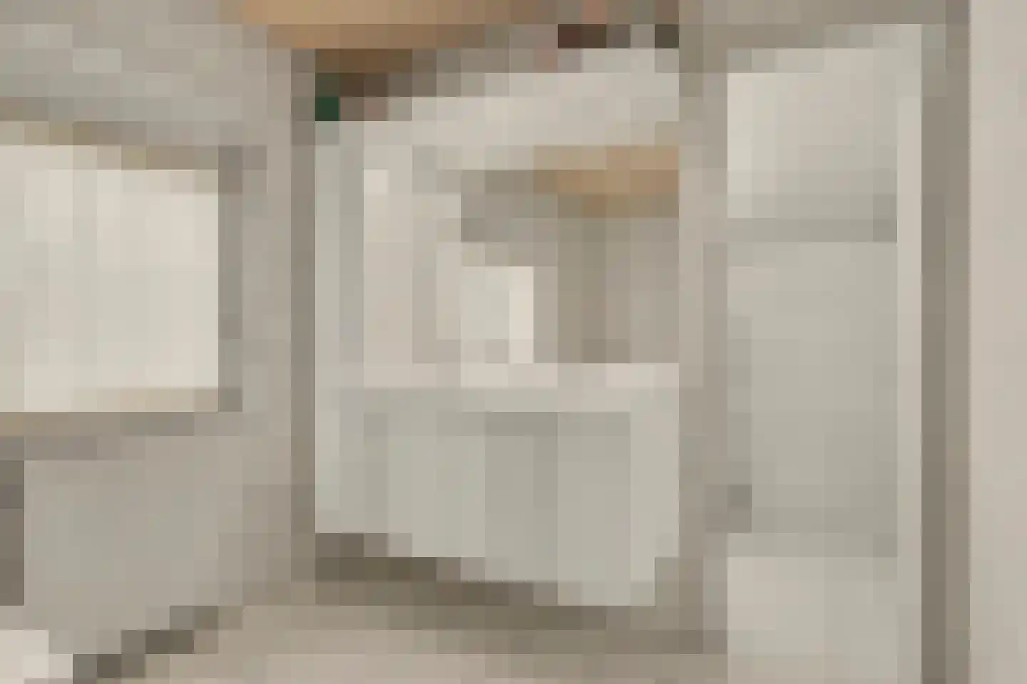 Landweerstraat 1 Denekamp thumbnail 33