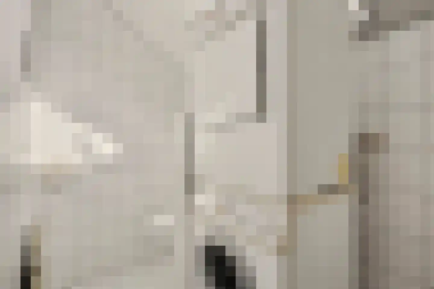 Landweerstraat 1 Denekamp thumbnail 35