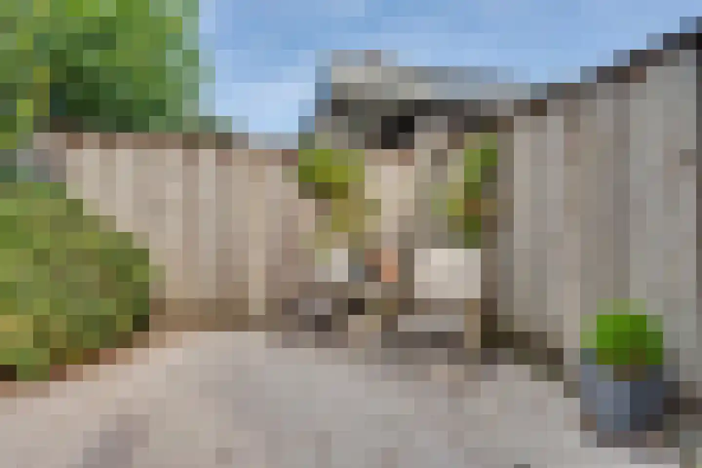 Landweerstraat 1 Denekamp thumbnail 37