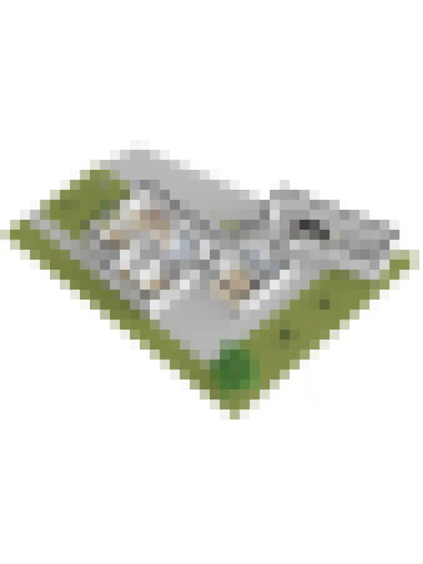 Landweerstraat 1 Denekamp thumbnail 54