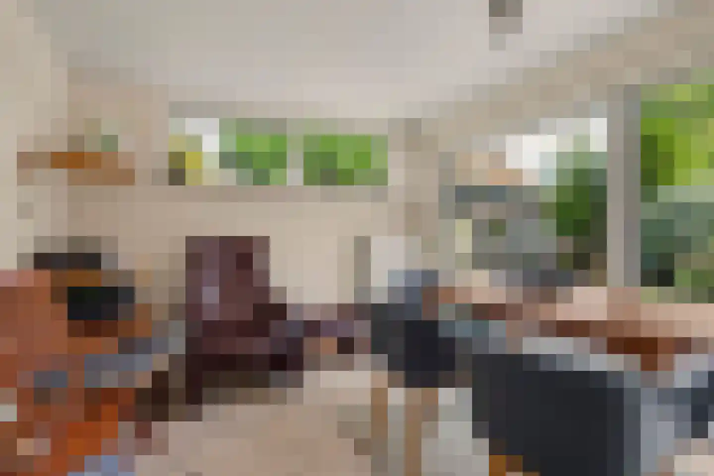 Landweerstraat 1 Denekamp thumbnail 6