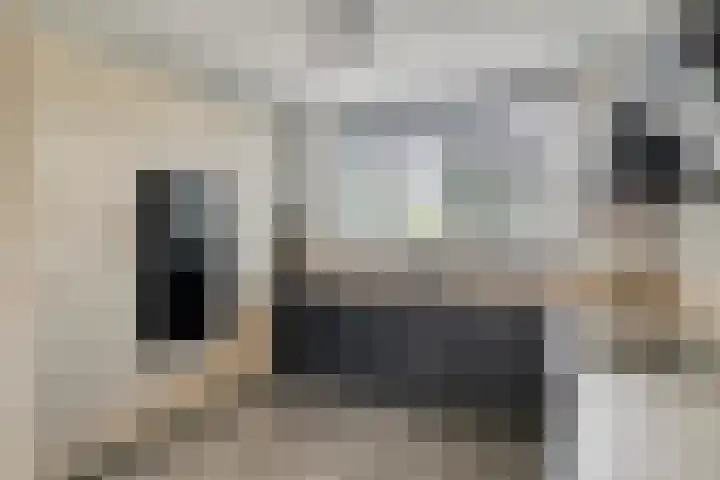 Landweerstraat-Noord 13 Oss thumbnail 8
