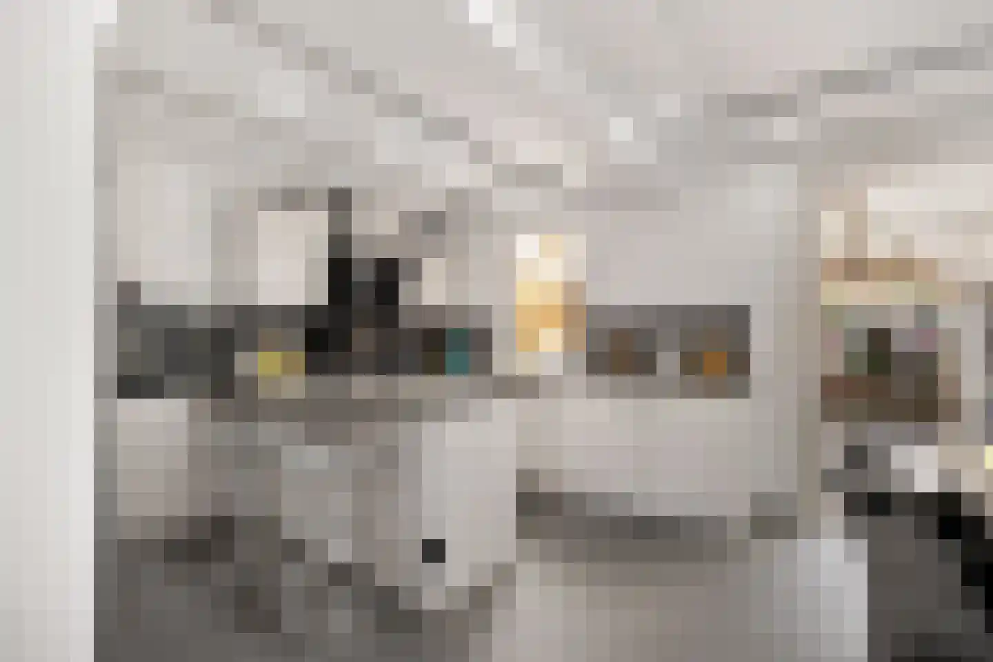 Landweerstraat-Noord 56 Oss thumbnail 14