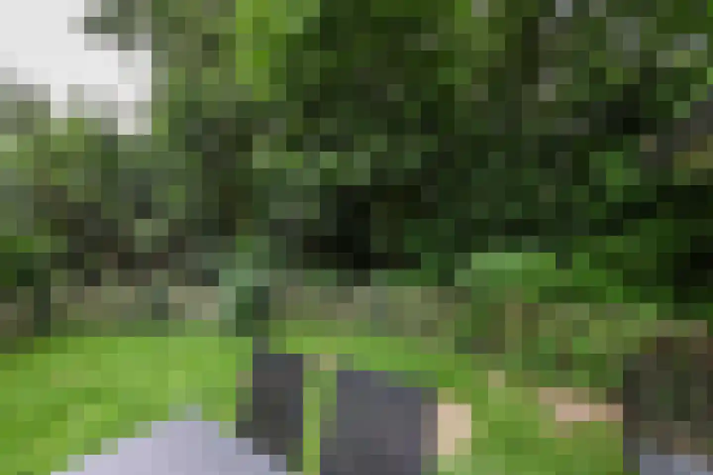 Landweerswal 2 032 Braamt thumbnail 18